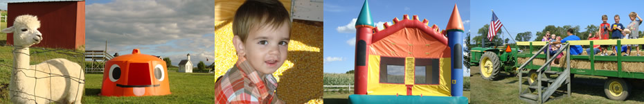 Gabrielsen Farm - North Fork